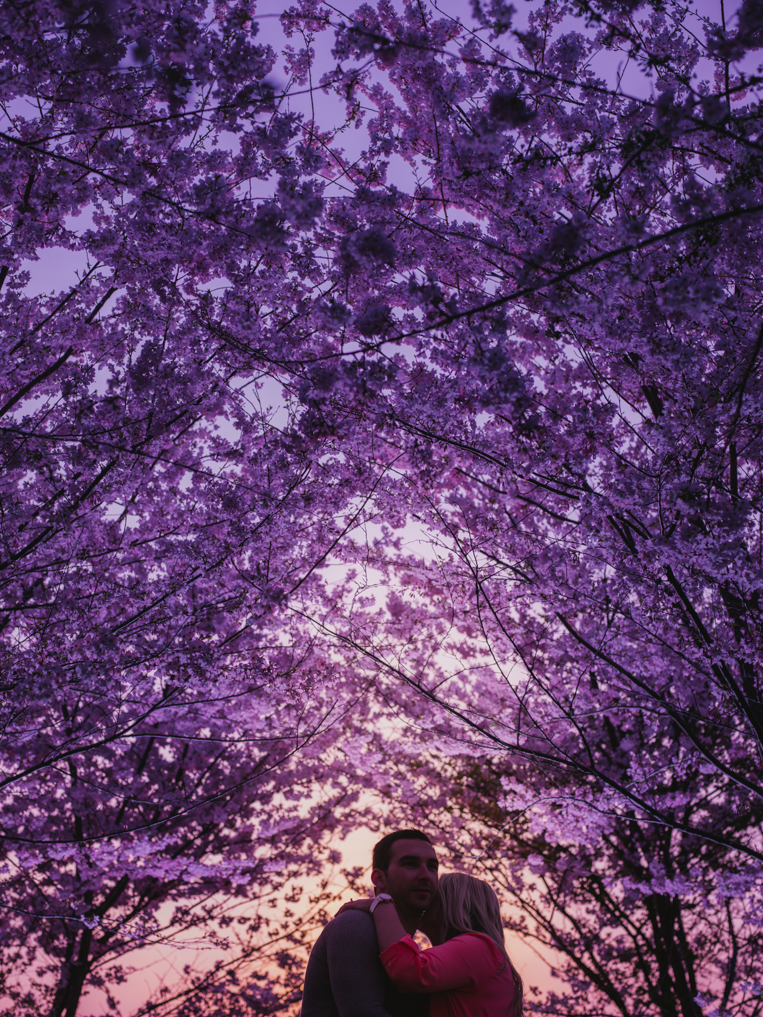 Sarnia Wedding Photographers